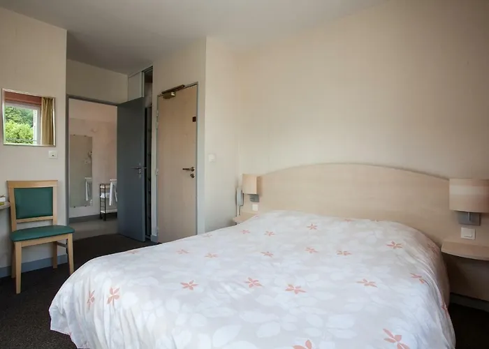 فندق Le Lion D'or Manzac-sur-Vern